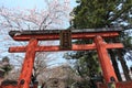 Nara Park,Japan