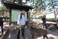 Nara Park,Japan