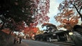 Nara stree view at fall,, Japan