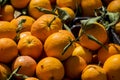 Naranjas listas para vender en el mercado