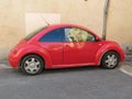 Red Volkswagen New Beetle car in Narbonne Royalty Free Stock Photo