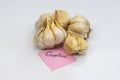 NARC G1 Garlic bulbs on white isolated background Royalty Free Stock Photo