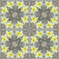 Narcissas flowers on wooden background