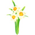 Narcissus - birth flower vector illustration in watercolor paint