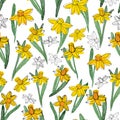 Narcissus daffodils seamless spring floral pattern. Bright yellow flowers foliage garland on white background. Hand