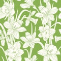 Narcissus daffodils sping flowers green pattern