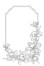 Narcissus daffodils spring floral border frame