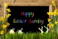 Narcissus, Egg, Bunny, Colorful Text Happy Easter Sunday Royalty Free Stock Photo