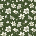 Narcissus floral pattern. Seamless design Royalty Free Stock Photo