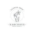 Narcissus flower. Logo for spa and beauty salon, boutique, organic shop, wedding, floral designer, interior, photography Royalty Free Stock Photo