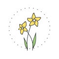 Narcissus flower. Logo for spa and beauty salon, boutique, organic shop, wedding, floral designer, interior, photography Royalty Free Stock Photo