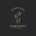Narcissus flower. Logo for spa and beauty salon, boutique, organic shop, wedding, floral designer, interior, photography Royalty Free Stock Photo