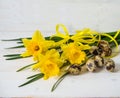 Narcissus flower and quail egg Royalty Free Stock Photo