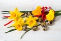 Narcissus flower and quail egg Royalty Free Stock Photo