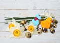 Narcissus flower and quail egg Royalty Free Stock Photo