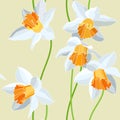 Narcissus seamless vector pattern