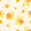 Narcissus spring flowers seamless pattern. Vector illustration. Royalty Free Stock Photo