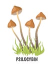 Narcotic psychedelic mushroom psilocybin color vector illustration. Psilocybin hallucinogenic magic mushrooms Royalty Free Stock Photo