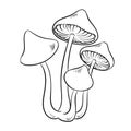 Narcotic mushroom coloring vector illustration Royalty Free Stock Photo