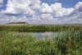 Narew National Park in Poland Royalty Free Stock Photo