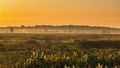 Narew National Park in Poland at sunrise. Stunning landscape with amazing mist over the Narew river. Narwianski Park Narodowy Royalty Free Stock Photo