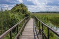 Narew National Park in Poland Royalty Free Stock Photo