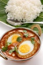 Nargisi kofta curry, indian cuisine Royalty Free Stock Photo