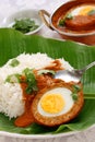 Nargisi kofta curry and rice, indian cuisine