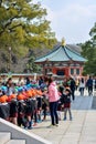 Narita, Chiba, Japan - March 4, 2016 : row of Japanese kindergarten students at a field outing trip at Naritasan Shinshoji Temple