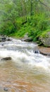 Natural view of narmada river flows through Wild.