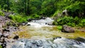 Natural view of narmada river flows through Wild.