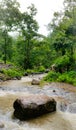 Natural view of narmada river flows through Wild.