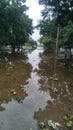 Narmada river swelled by heavy rain
