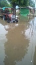 Narmada river swelled by heavy rain