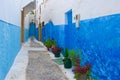 Narrow alley with blue walls and flower pots in Oudaya Kasbah in Rabat, Morocco Royalty Free Stock Photo