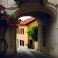 Narrow alley in Bossolasco, village of the roses Piedmont, Italy