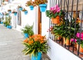 A narrow alley in Mijas white village decorated with many flowerpots. Andalusia, Spain