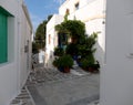 Narrow alley in Paros Island, Greece Royalty Free Stock Photo