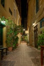 A narrow alley with red flowers lit by lanternas in the old town of Chania