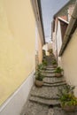 A Narrow Alley in Szentendre, Hungary Royalty Free Stock Photo