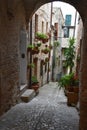 Narrow alley in Torre di Palme Royalty Free Stock Photo