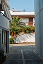 Narrow alleys with traditional greek white houses at Skiathos town, morning at Skiathos island Royalty Free Stock Photo