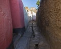 Narrow alleyway of ancient city of Jugol. Harar. Ethiopia.