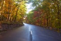 Narrow asphalt road in colorful autumn forest on a sunny day. Royalty Free Stock Photo