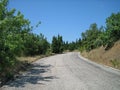 A narrow asphalt road on a hot Sunny day past evergreen trees and sun-scorched grass