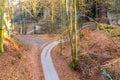 Narrow asphalt road serpentines winding through beech forest Royalty Free Stock Photo