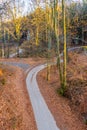 Narrow asphalt road serpentines winding through beech forest Royalty Free Stock Photo