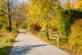 Deserted Country Road at Sunset Royalty Free Stock Photo