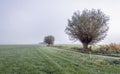 Narrow bicycle path through a rural Dutch area with meadows and Royalty Free Stock Photo