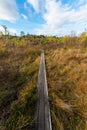 Narrow boardwalk across a bog at fall